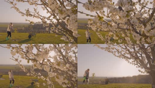 年轻女子在阳光明媚、田园诗般的春日山坡上种植和浇灌果树高清在线视频素材下载