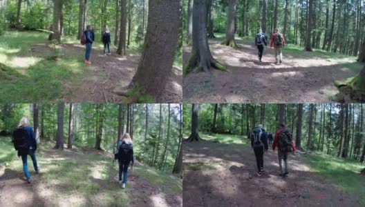 一群生态学家在山间徒步旅行，欣赏绿色的森林景观高清在线视频素材下载