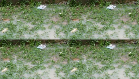 雨点滴落在大水坑上。泰国的热带雨量高清在线视频素材下载