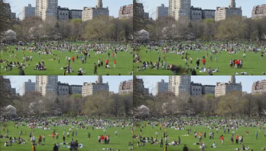 中央公园时光流逝高清在线视频素材下载