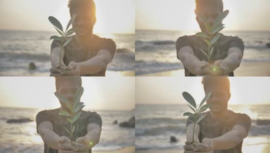 一个微笑的年轻人，双手捧着一株绿色的小植物或样本，对着冉冉升起的金色太阳高清在线视频素材下载