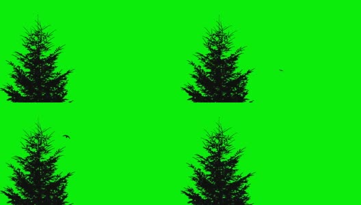 绿色的屏风上有一棵云杉在风中飘扬高清在线视频素材下载