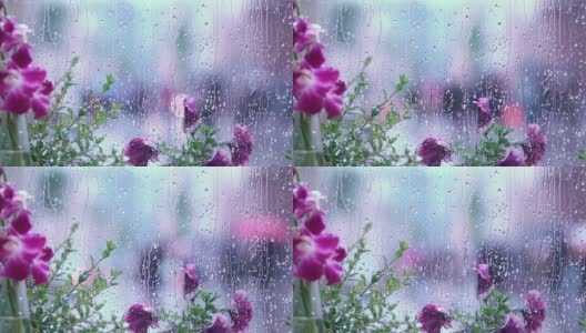 美丽的紫花后湿窗随雨滴，模糊了街道散景。概念春季天气、季节、现代城市生活方式高清在线视频素材下载