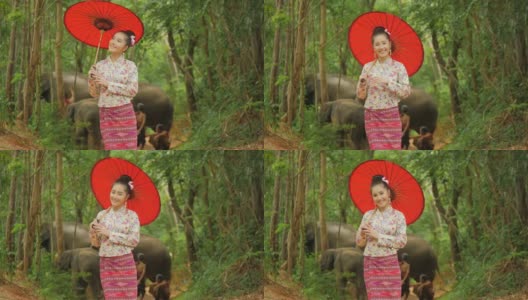 肖像迷人的亚洲妇女在传统东南亚服装看相机和微笑在自然的背景。高清在线视频素材下载
