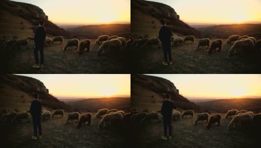 一群羊和少年牧羊人，在黄昏的山上吃草。高清在线视频素材下载