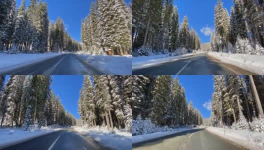 在一个阳光明媚的日子里，在一条空旷的道路上，沿着白雪覆盖的森林行驶高清在线视频素材下载