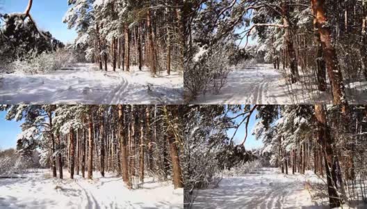 在白雪皑皑的森林里沿着小路走。稳定的框架pov射击。阳光明媚的一天。高清在线视频素材下载