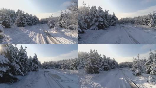 航拍冬雪针叶林的圣诞森林高清在线视频素材下载