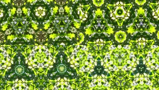 美丽的彩色抽象绿色壁纸动态高清在线视频素材下载