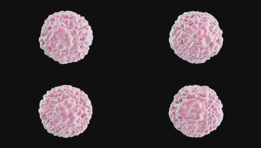 诺瓦克病毒的三维动画在黑色背景和alpha高清在线视频素材下载