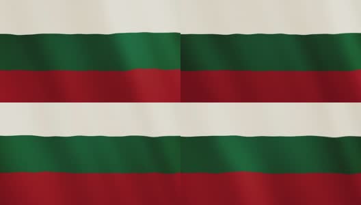 保加利亚国旗飘扬的动画。全屏。国家的象征高清在线视频素材下载