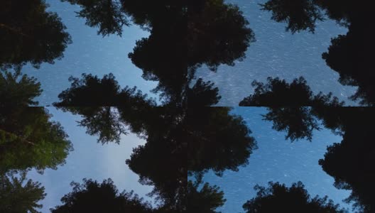 大红杉森林上空的夜空高清在线视频素材下载