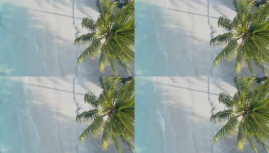 无人机拍摄的热带岛屿高清在线视频素材下载