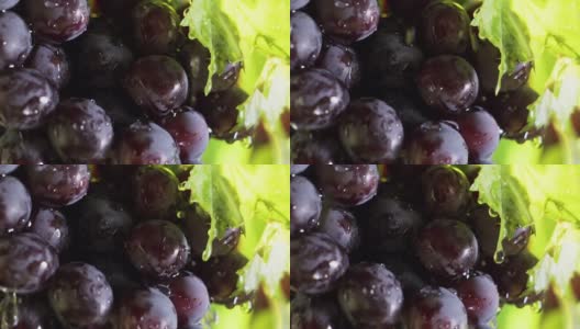 水滴在一串葡萄上，慢镜头。高清在线视频素材下载