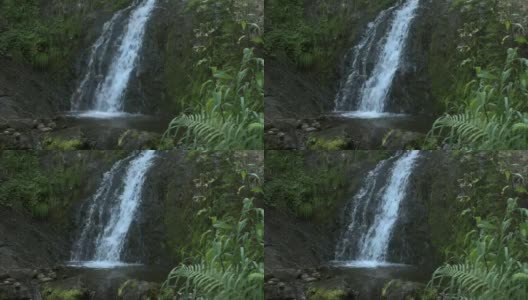 山上的瀑布在小池塘的岩石之间瀑布。泉水在长满青苔的石头上流淌。湖岸的绿草和蕨类植物的叶子。雨林中的Fast creek高清在线视频素材下载