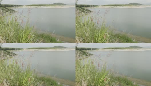 美丽的湖光山色的4K慢镜头，粉色的草花随风飘动的前景，展现了夏日自然户外环境下休闲度假的美景。高清在线视频素材下载