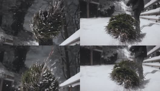 把一棵冷杉树掉在雪地里高清在线视频素材下载