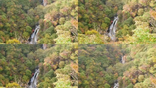 日本枥木县秋日著名瀑布:基里福瀑布高清在线视频素材下载