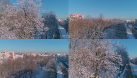 无人机俯瞰沿街的公园、被霜覆盖的树木、住宅和办公楼。攀登相机运动。高清在线视频素材下载