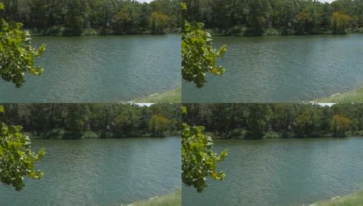 这是一个阳光明媚的日子，微风吹拂着树叶，湖水在湖中稳步流动的镜头高清在线视频素材下载