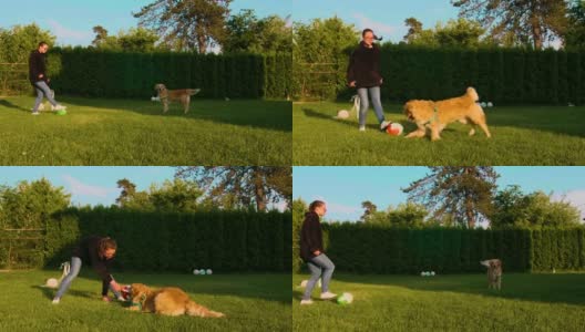 狗和女孩在后院玩球高清在线视频素材下载