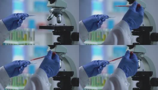 实验室助理采集血样用于遗传学检查，微生物学高清在线视频素材下载