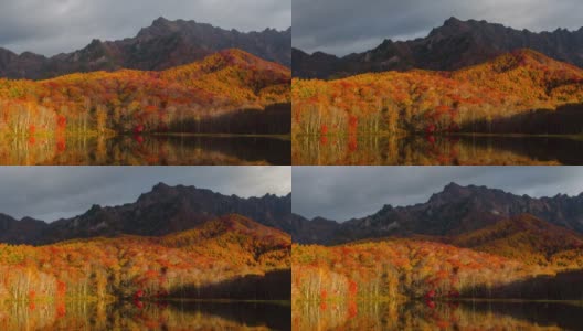 4k时间流逝宽镜头的鹿神池在秋季，长野，日本。高清在线视频素材下载
