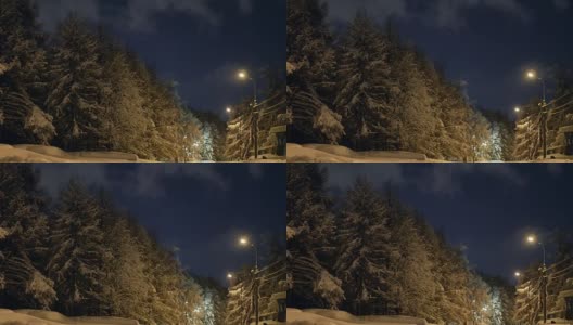 冬夜公园灯高清在线视频素材下载