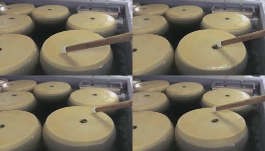 在盐水中成熟的帕尔玛干酪上显示印章、标志、印章高清在线视频素材下载