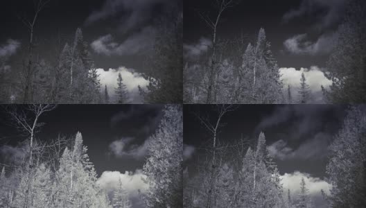红外三脚架视频或农村森林景观在冬季高清在线视频素材下载