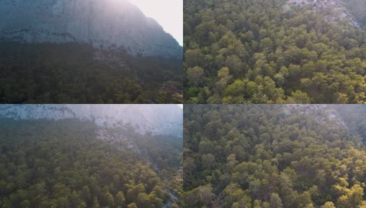 山和森林顶视图高清在线视频素材下载