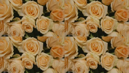 一束玫瑰作装饰高清在线视频素材下载