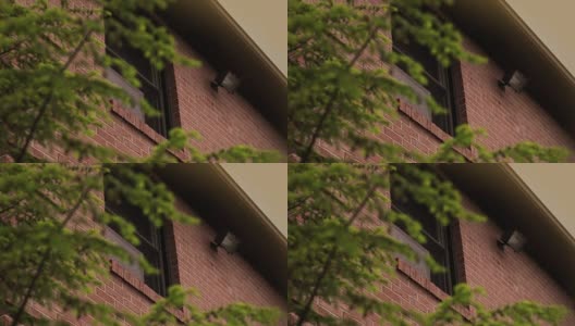 公司办公楼二楼窗户的建立拍摄高清在线视频素材下载
