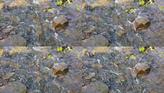 河石透明的水背景高清在线视频素材下载