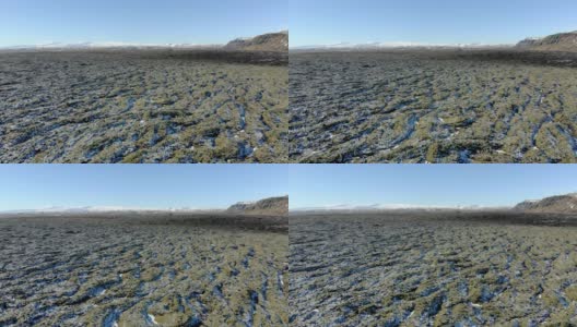 冰岛火山岩上的苔藓。冰岛的熔岩地覆盖着绿色的苔藓高清在线视频素材下载