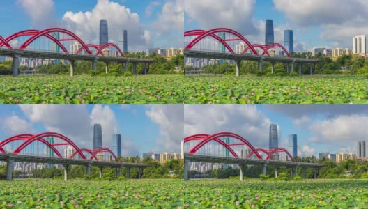深圳KK100和洪湖公园莲花池天际线的时间推移高清在线视频素材下载