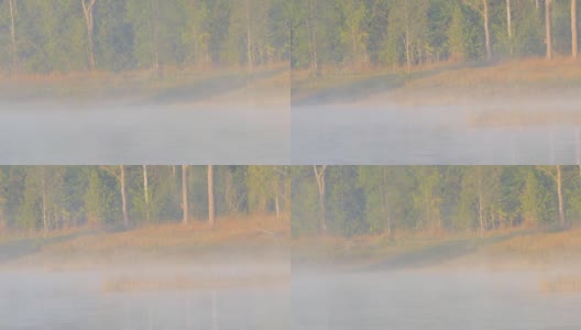 多莉拍摄的雾和雾在湖面上缓慢移动。高清在线视频素材下载