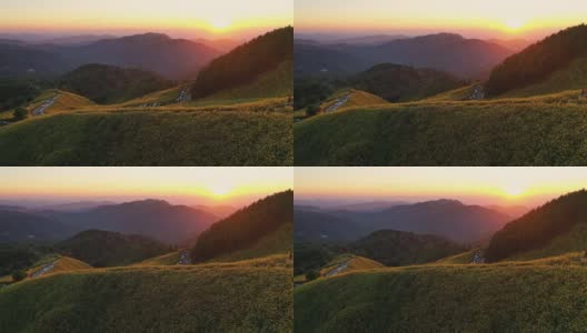 夕阳下盛开的黄色向日葵在山景上高清在线视频素材下载