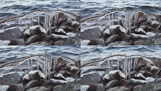 芬兰，当湖面开始结冰时，植物被冰覆盖高清在线视频素材下载