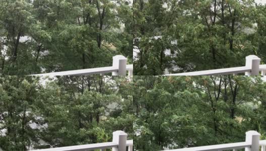 树在强风和暴雨中吹，从阳台上看高清在线视频素材下载