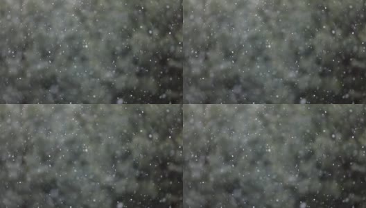 森林里下雪了。第一场雪高清在线视频素材下载