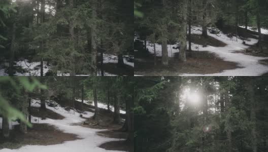 在波斯尼亚和黑塞哥维那伊格曼的一个阳光明媚的冬日里，阳光穿过树林高清在线视频素材下载