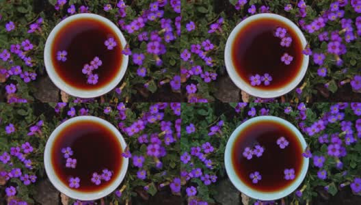 中国茶园的黑花高清在线视频素材下载