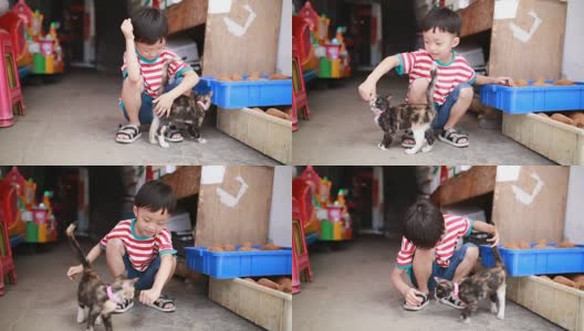 可爱的孩子和猫高清在线视频素材下载