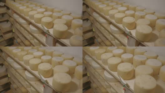 奶酪制作。木质架子上成熟的奶酪高清在线视频素材下载
