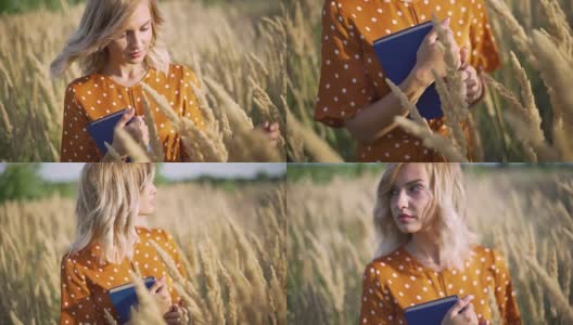 美丽快乐的年轻女子在田间的小穗和小麦上带着书的夕阳，金发碧眼的在草地上度过了美好的时光高清在线视频素材下载