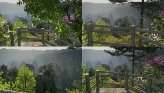 中国湖南张家界。云台拍摄的植物和悬崖在一个阳光明媚的日子在武陵源风景名胜。4 k, UHD高清在线视频素材下载