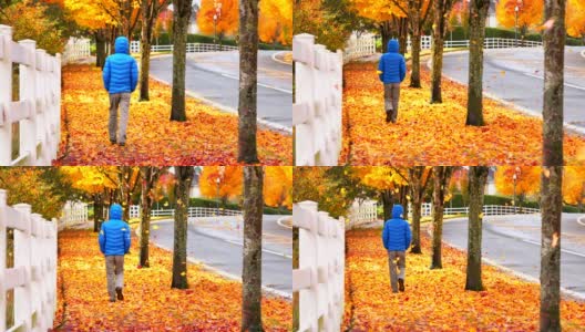 人走在人行道上，秋叶飘落高清在线视频素材下载