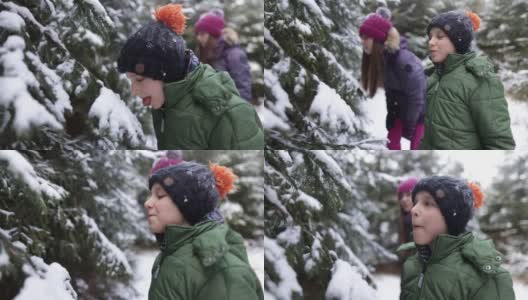 孩子们在吃树枝上的雪高清在线视频素材下载