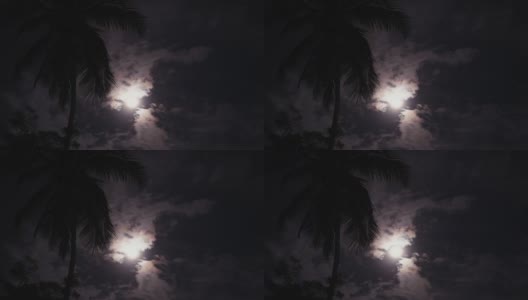 棕榈树背景下的满月。夜晚的月亮在多云的天空高清在线视频素材下载